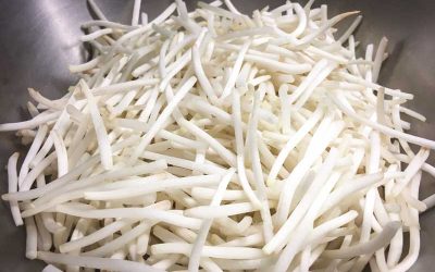 福州春捲與大提琴