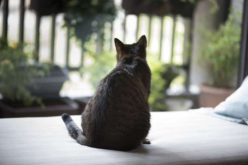 一步不走，一步不到 ── 說說自己的暑假計劃