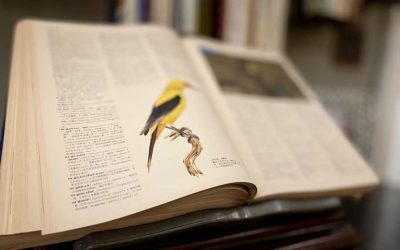 人生六十又開始《二十三》儲蓄