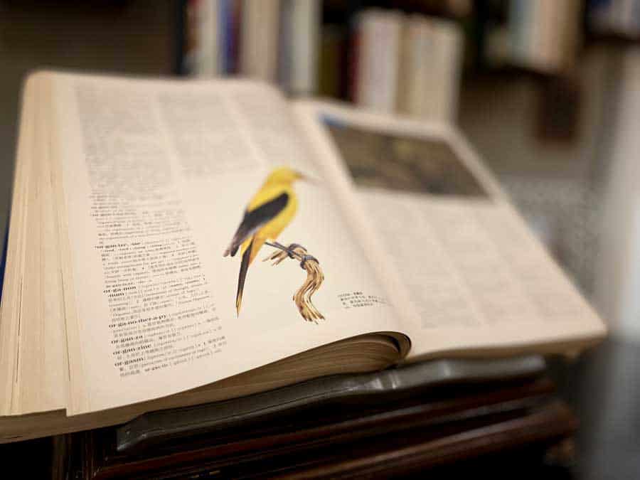 人生六十又開始《二十三》儲蓄