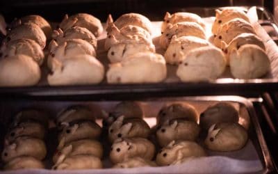 人生六十又開始《三十四》幼稚